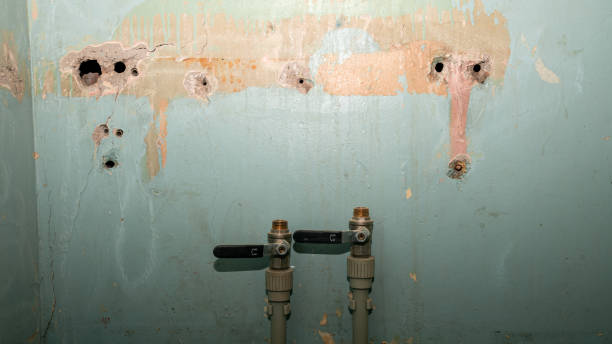 Best Residential water damage restoration  in Elk Plain, WA