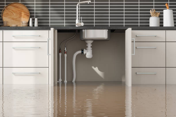 Best Water damage contractors near me  in Elk Plain, WA